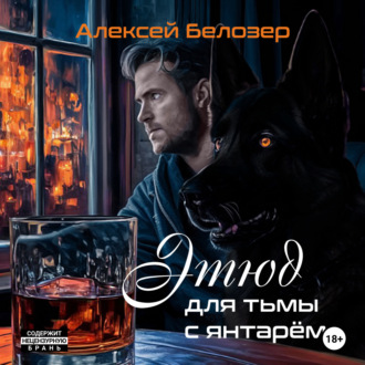 Обложка книги «Этюд для тьмы с янтарём»