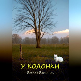 Обложка книги «У колонки»
