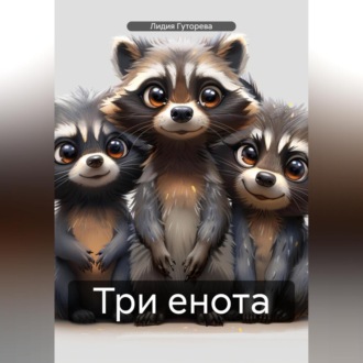 Обложка книги «Три енота»