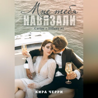 Обложка книги «Мне тебя навязали»