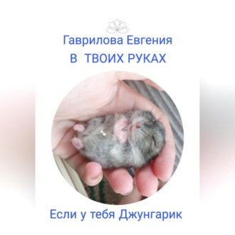 Обложка книги «В твоих руках. Если у тебя джунгарик»
