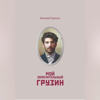 Обложка книги «Мой замечательный грузин»