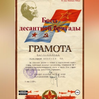 Обложка книги «Боец десантной бригады»