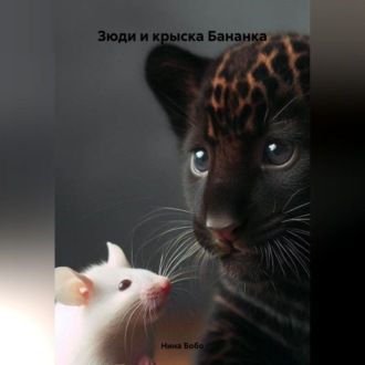 Обложка книги «Зюди и крыска Бананка»