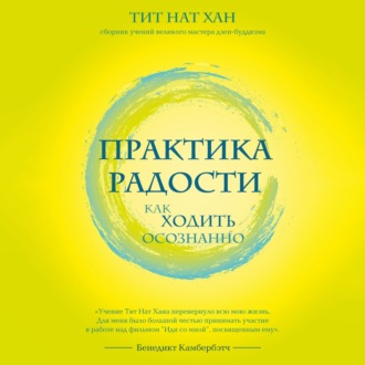 Обложка книги «Практика радости. Как ходить осознанно»