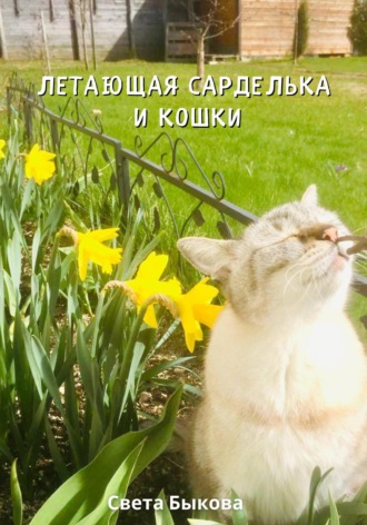 Обложка книги «Летающая сарделька и кошки»