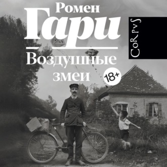 Обложка книги «Воздушные змеи»
