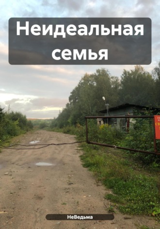 Обложка книги «Неидеальная семья»