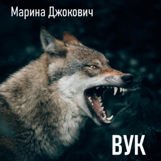 Обложка книги «Вук»