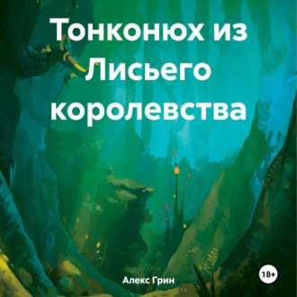 Обложка книги «Тонконюх из Лисьего королевства»