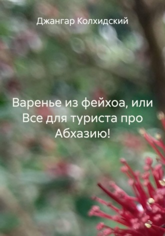 Обложка книги «Варенье из фейхоа, или Все для туриста про Абхазию!»