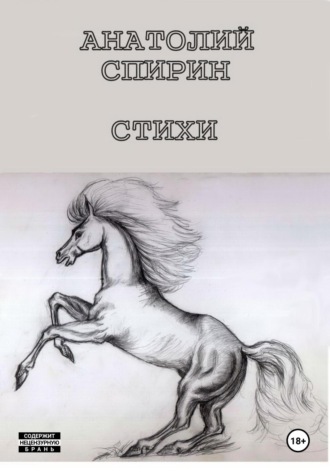 Обложка книги «Стихи»