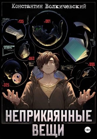Обложка книги «Неприкаянные вещи»