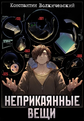 Константин Волкичевский. Неприкаянные вещи
