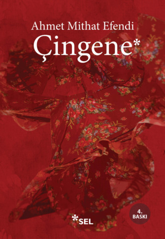 Обложка книги «Çingene»
