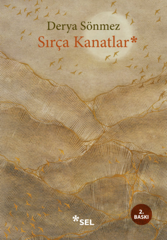 Обложка книги «Sırça Kanatlar»