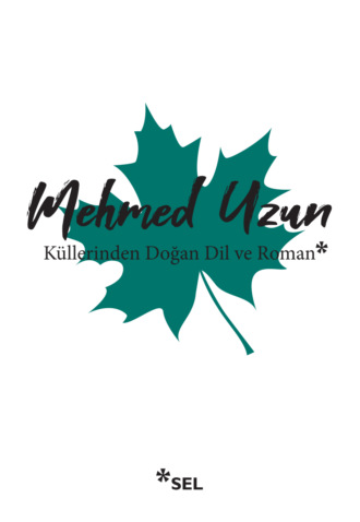 Обложка книги «Küllerinden Doğan Dil ve Roman»