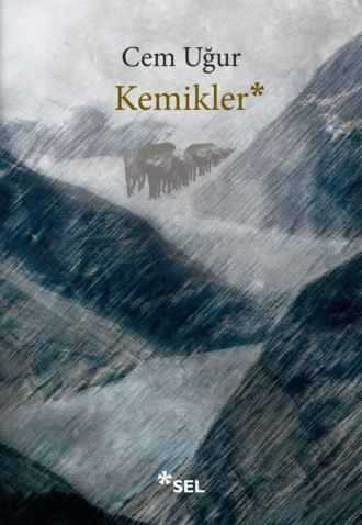Обложка книги «Kemikler»