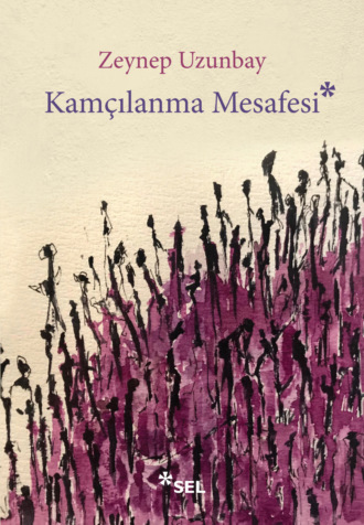 Обложка книги «Kamçılanma Mesafesi»