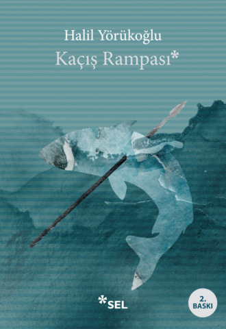Обложка книги «Kaçış Rampası»