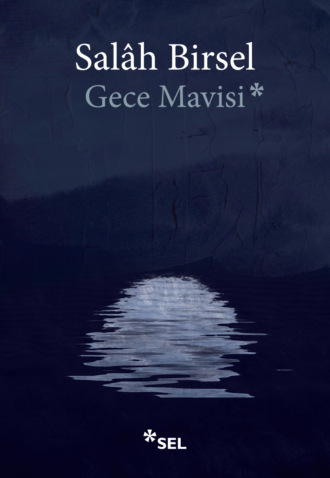 Обложка книги «Gece Mavisi»