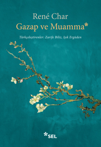 Обложка книги «Gazap ve Muamma»