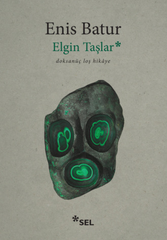 Обложка книги «Elgin Taşlar - doksanüç loş hikâye»
