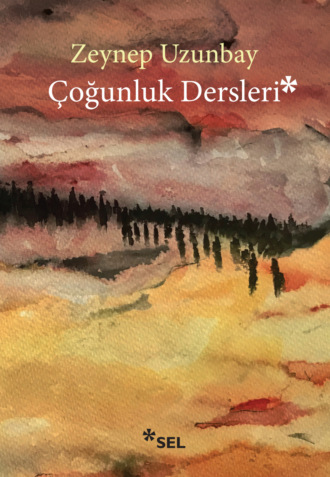 Обложка книги «Çoğunluk Dersleri»
