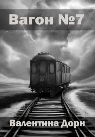 Обложка книги «Вагон номер семь»