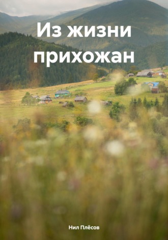 Нил Плёсов. Из жизни прихожан