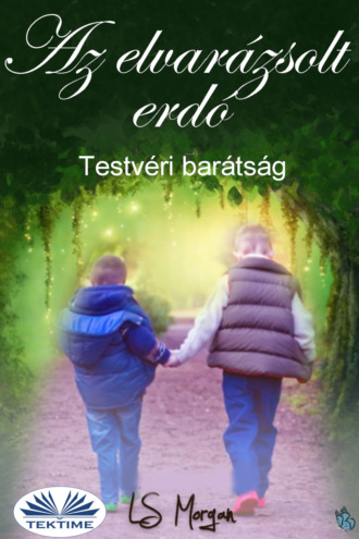 Обложка книги «Az Elvarázsolt Erdő»