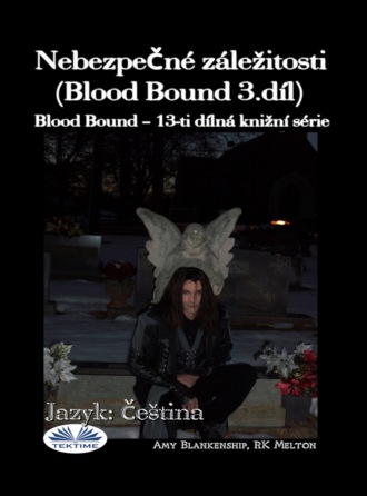Обложка книги «Nebezpečné záležitosti (Blood Bound 3.díl)»