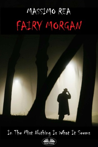 Обложка книги «Fairy Morgan»