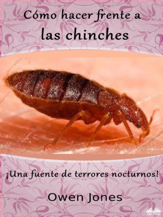 Обложка книги «Cómo Hacer Frente A Las Chinches»