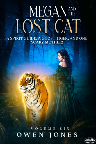 Обложка книги «Megan And The Lost Cat»