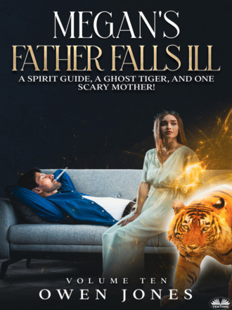 Обложка книги «Megan`s Father Falls Ill»