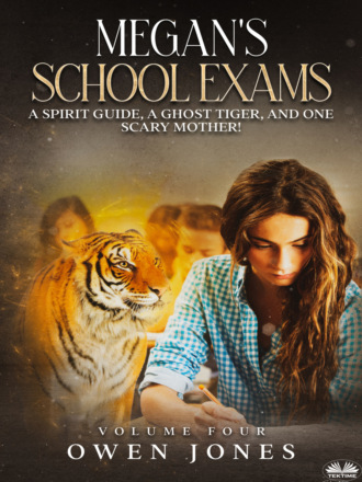 Обложка книги «Megan`s School Exams»