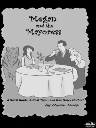 Обложка книги «Megan And The Mayoress»