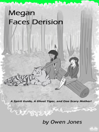 Обложка книги «MEGAN FACES DERISION»