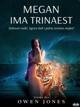Обложка книги «Megan Ima Trinaest»