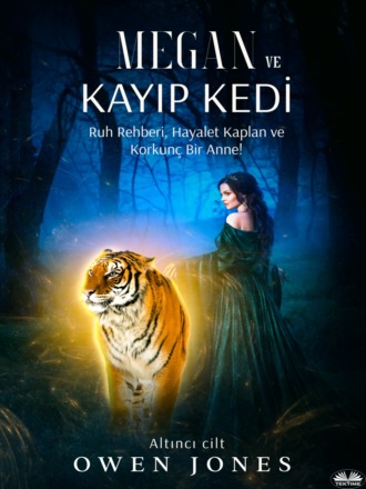 Обложка книги «Megan ve Kayıp Kedi»