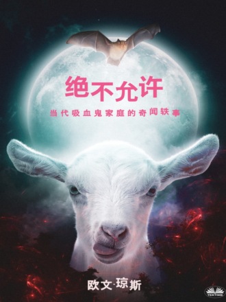 Обложка книги «绝不允许»