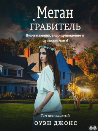 Обложка книги «Меган и грабитель»