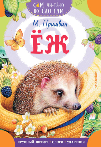 Обложка книги «Еж»