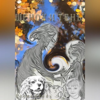 Обложка книги «Щенок и тень»