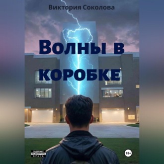 Обложка книги «Волны в коробке»