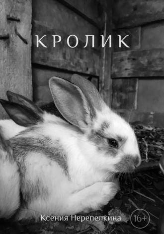 Обложка книги «Кролик»