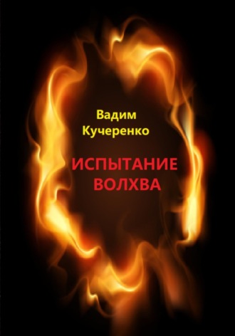 Обложка книги «Испытание волхва»