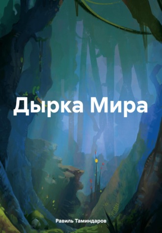 Обложка книги «Дырка Мира»