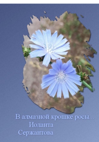 Обложка книги «В алмазной крошке росы…»